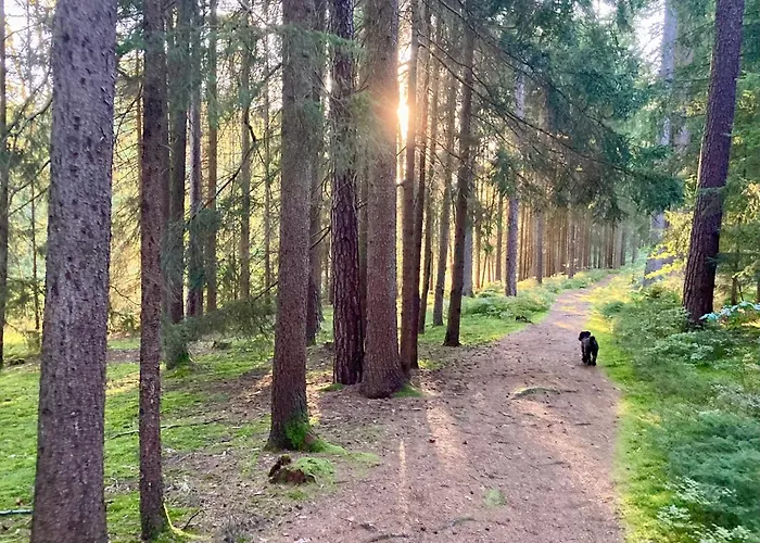 Apartmán Ferienwohnensieglinde